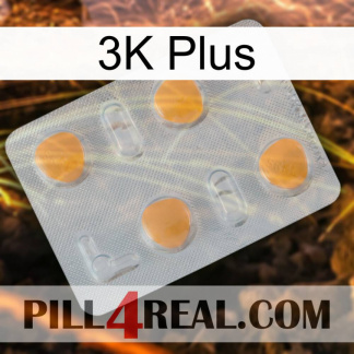 3K Plus 24